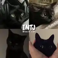 MBTI انماط شخصية WhatsApp Channel