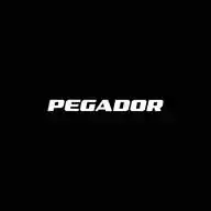 Pegador WhatsApp Channel