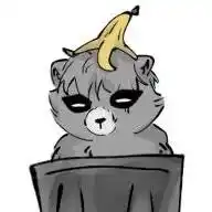 Racoon Kingdom WhatsApp Channel