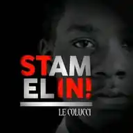 Stamelin (Billet D'humeur ✍️) WhatsApp Channel