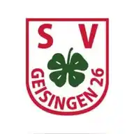 SV Geisingen WhatsApp Channel