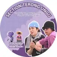 Terongdeul WhatsApp Channel