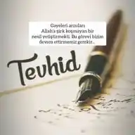 TEVHİDE DAVET ☝️ WhatsApp Channel