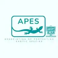 APES Shelter & Rescue Centre WhatsApp Channel