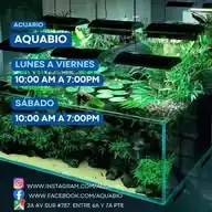 AquaBio Acuario WhatsApp Channel