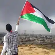 🇨🇴 𓂆 🇵🇸 Todos Somos Palestina WhatsApp Channel