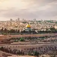 עדכוני הר הבית WhatsApp Channel