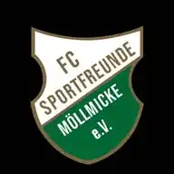 FC Sportfreunde Möllmicke e.V. 🟢⚪️⚽️ WhatsApp Channel