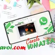 Gavoi.com WhatsApp Channel