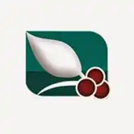 قناة السعيدة WhatsApp Channel