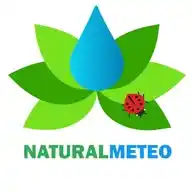 NaturalMeteo WhatsApp Channel
