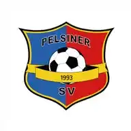 Pelsiner SV WhatsApp Channel