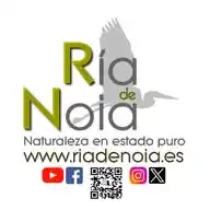 Ría de Noia WhatsApp Channel