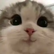 the bubblybyu dump WhatsApp Channel