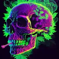 .🍃Weed Thoughts🍃.
