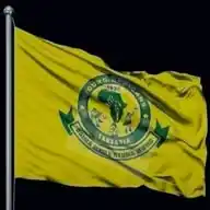 YANGA BINGWA💛💚 WhatsApp Channel