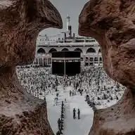 alshrif WhatsApp Channel