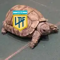 🇦🇷🐢La Ligagá🐢🇦🇷 WhatsApp Channel