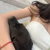 😼😼 WhatsApp Channel