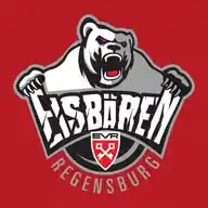 Eisbären Regensburg WhatsApp Channel