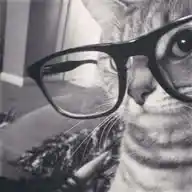 Eliot WhatsApp Channel