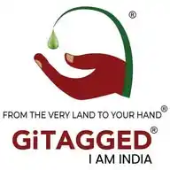 GiTAGGED WhatsApp Channel
