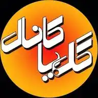 گلپاکانال WhatsApp Channel