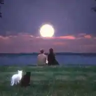 Islamic Vibes WhatsApp Channel