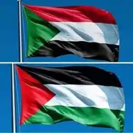 خواطر شاب WhatsApp Channel