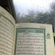 قناة القرآن الكريم 🌿 . WhatsApp Channel