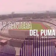 La Cantera Del Puma WhatsApp Channel