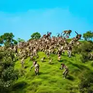 Morro Do Macaco Pelado WhatsApp Channel