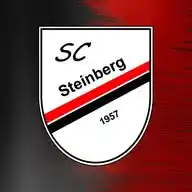 SC Steinberg WhatsApp Channel
