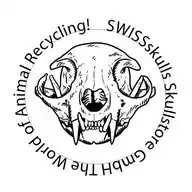 Skullstore GmbH News WhatsApp Channel