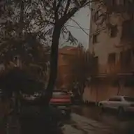 عَـشـ𓂆ـوَائِـيـات