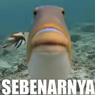 beli akun guweh WhatsApp Channel