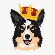 Toutou Pour Lui - Éducation & Comportementalisme Canin WhatsApp Channel