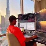 TradingBees 🐝🐝🍯 WhatsApp Channel