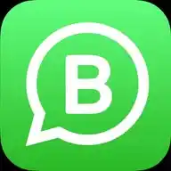 WhatsApp Business WhatsApp Channel