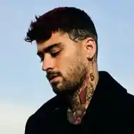 ZAYN WhatsApp Channel