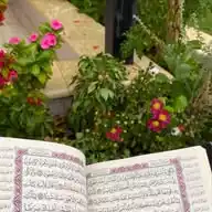 أهل القرآن 💎🌺 WhatsApp Channel