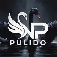 Black Swan Agency by Nick Pulido WhatsApp Channel