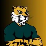 Cyberwiz [Tiger Insight] WhatsApp Channel