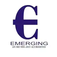 Emerging Consultancy Services WhatsApp Channel