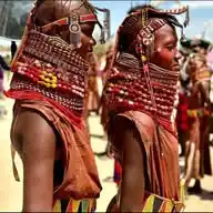 Experience Kenya 🇰🇪🐘🏖️ WhatsApp Channel