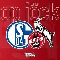 fans1991@Schalke WhatsApp Channel