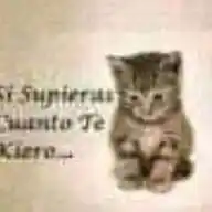 Keik Troleos WhatsApp Channel