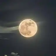 MoonBot WhatsApp Channel