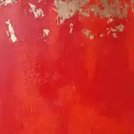 NEZYGAR WhatsApp Channel