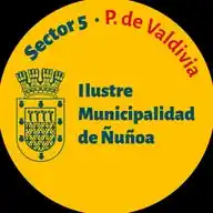 📢 #ÑuñoaAlDía • Sector 5 WhatsApp Channel